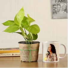 Money Plant With Personalised White Mug (Deluxe)