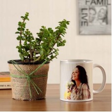 Jade Plant With Personalised White Mug (Deluxe)