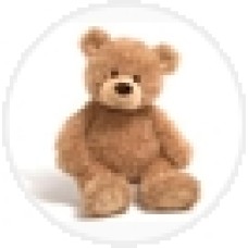 Teddy