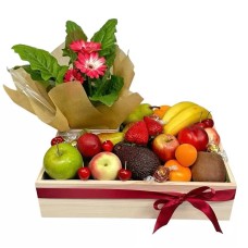 Fruit & Plant Basket