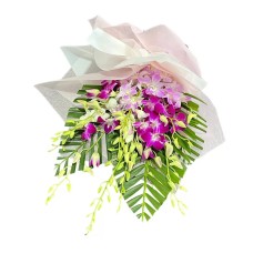 Singapore Orchids