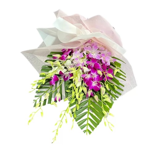 Singapore Orchids