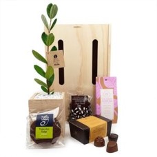 Double Addiction Living Tree Gift