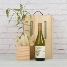 Living Tree & Wine Gift