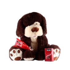 Titan In Love With Chocolates