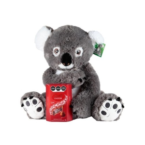 Koala with Chocolates