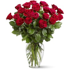 Vase of 24 Red Roses