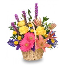 Liatris & Gerbera Arrangement