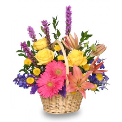 Liatris & Gerbera Arrangement