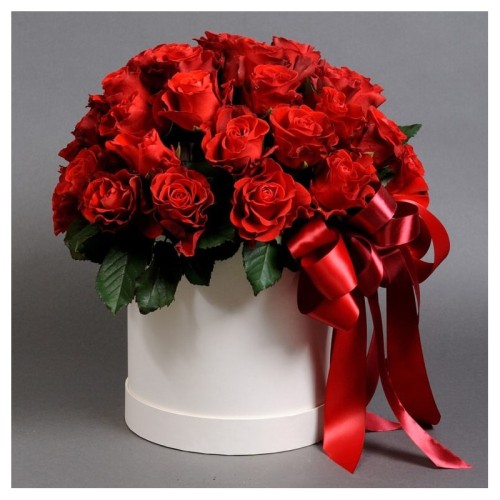 Big Box of 50 Red Roses