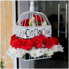 Love in Hanging Cage