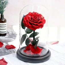 Romantic Forever Red Rose â€” Valentine's day gift, Rose in glass dome