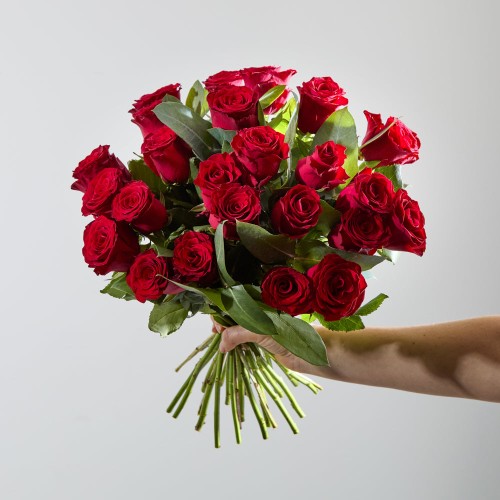 24 Luxury Red Roses