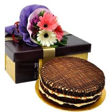 Salted Caramel Chocolate Delight - Cake (Salted Caramel Chocolate Delight - 5