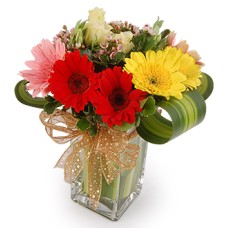 Blushing Colors - Gerberas Flower Arrangement