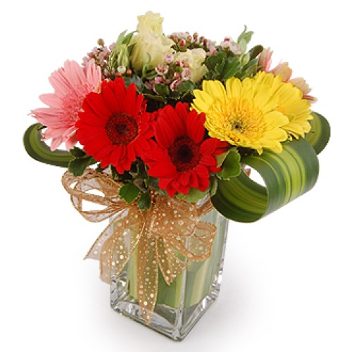 Blushing Colors - Gerberas Flower Arrangement