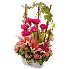Alma Mater - Carnation Flower Arrangement