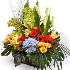 Flora Asirvada - Flower Basket