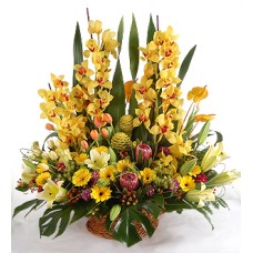 Quinsy - Flower Basket