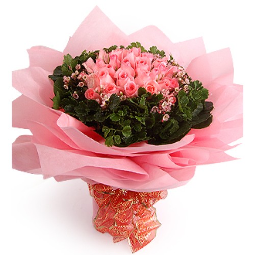 Valentine Pink Alva