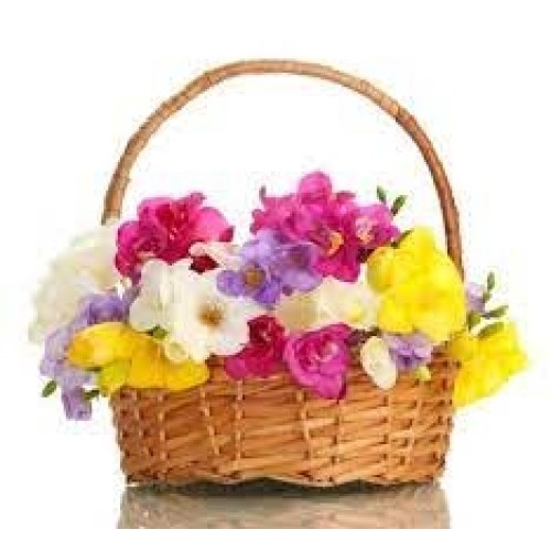 LARGE BASKET OF FREESIAS