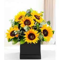 SUNFLOWERS BOX