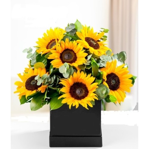 SUNFLOWERS BOX