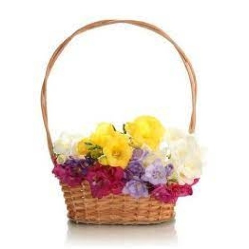Medium Basket with FRESIAS