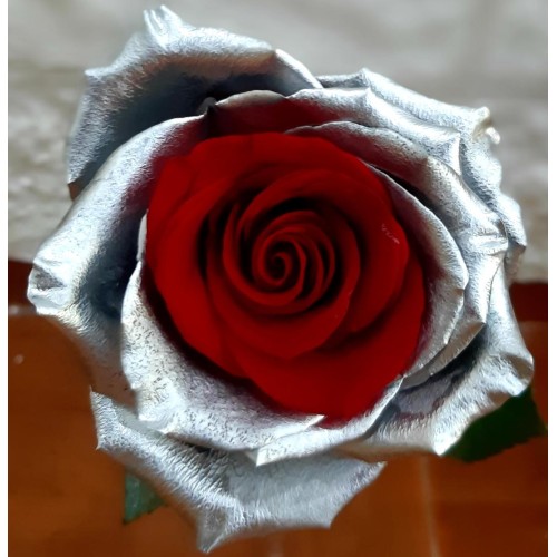 ROSE RED SILVER