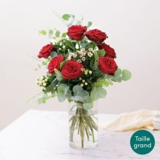Festive red (Normal)