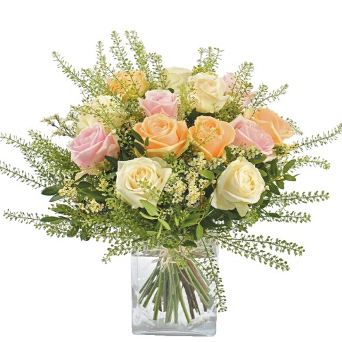 Rose Melba (Normal)