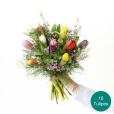 Bouquet of tulips (7 tulips)
