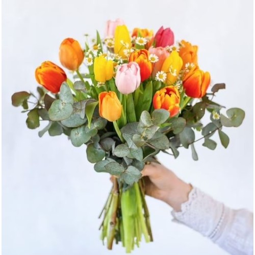 Our charming tulips (13 tulips)