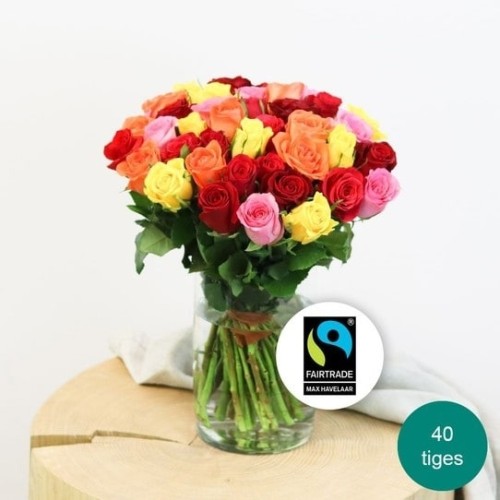 Max Havelaar Multicolored Rose Bouquet (20 roses)