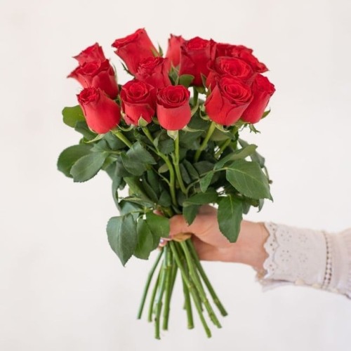 Armful of large red roses (Normal)