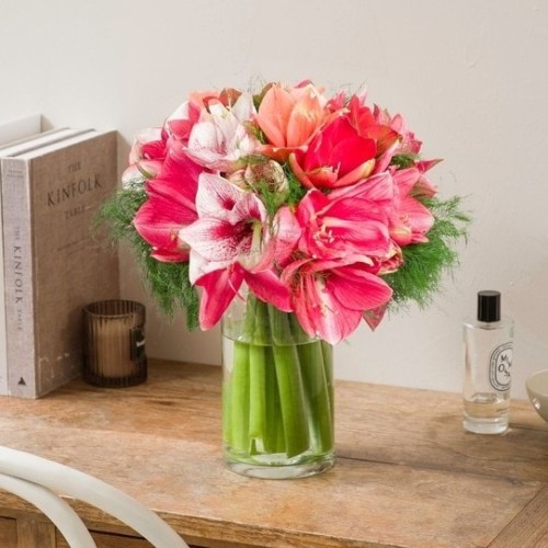 Amaryllis bouquet (Normal)