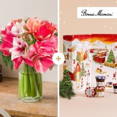 Amaryllis bouquet and its Bonne Maman Advent Calendar (4 rods)