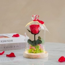 Rose under a luminous bell