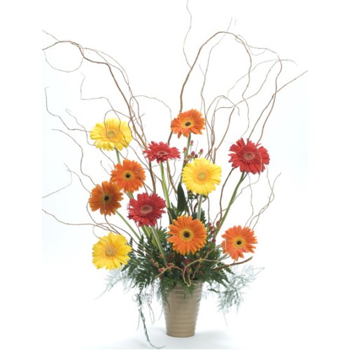 The Gerberas Birthday Blast (Small)