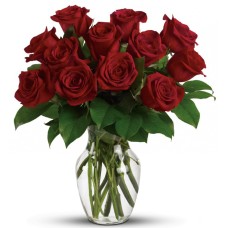 Doz red Roses in a Vase