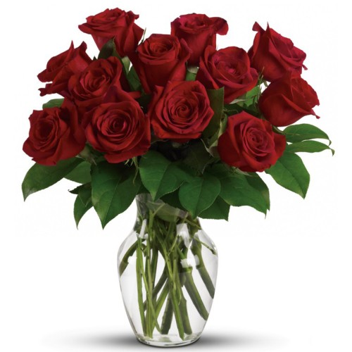 Doz red Roses in a Vase