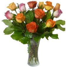 Rainbow of Roses (standard)