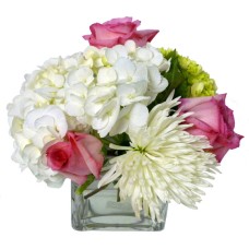 The Purity Arrangement (As Shown)