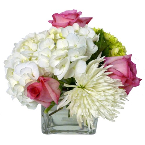 The Purity Arrangement (As Shown)