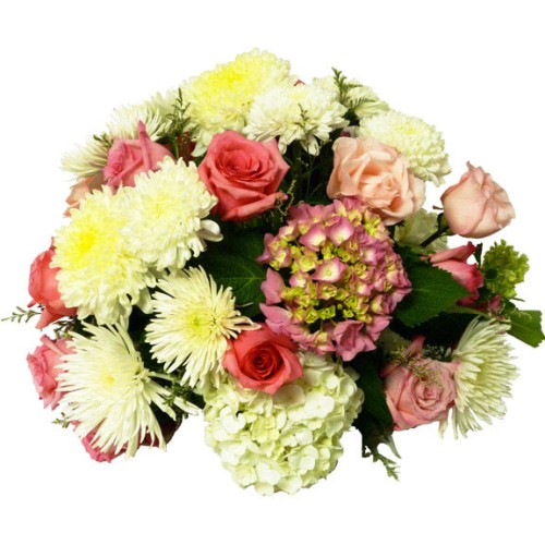The Graceful Arrangement (standard)