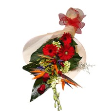 Paradise Breeze (As Shown)