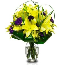 New Product (Small)