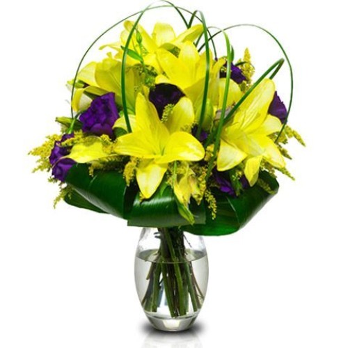 New Product (Small)