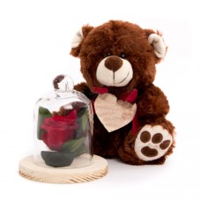 Belle Rose And Teddy Bear