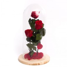 3 Forever Roses In Tall Glass Dome